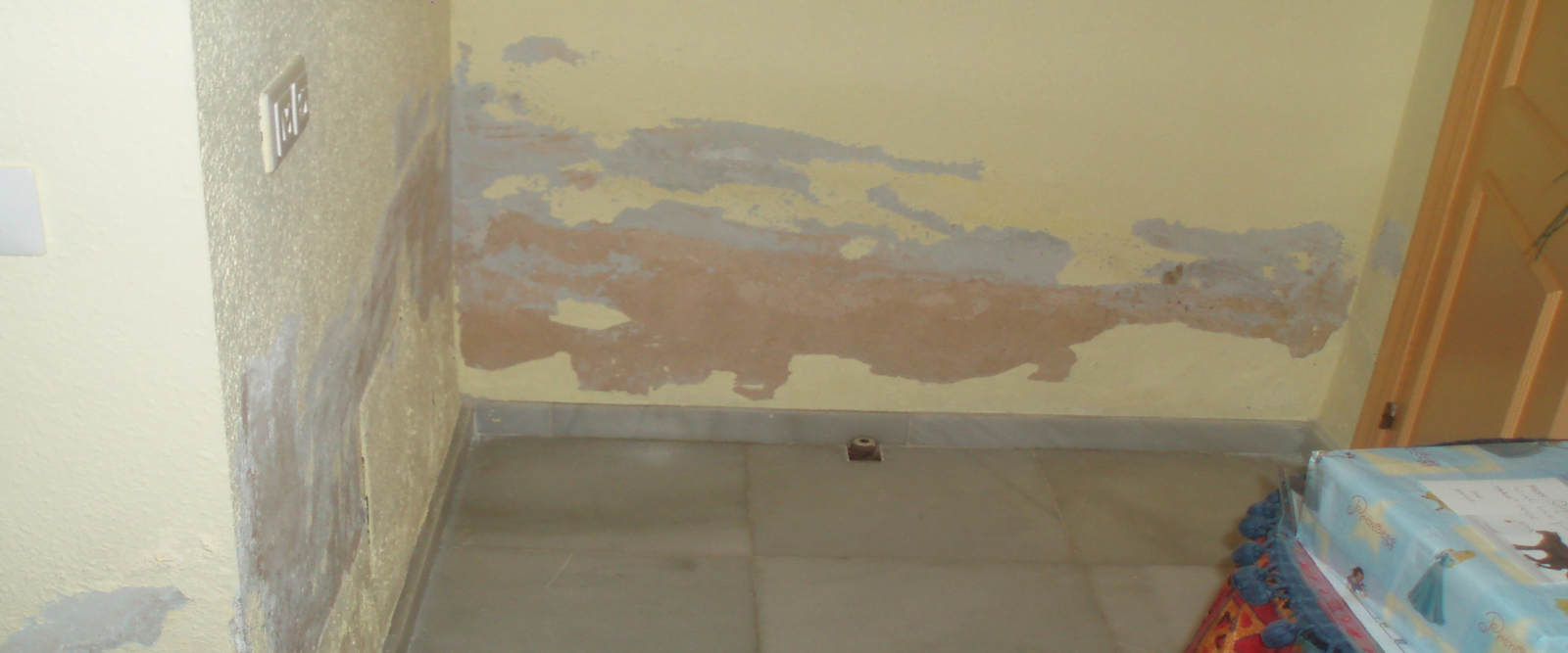 Quitar las humedades en paredes y el moho. Capilaridad y mohos