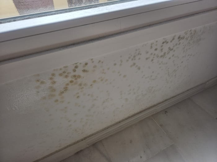 humedades-paredes-condensacion-02