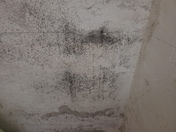 humedades-paredes-condensacion-03