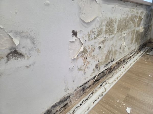 Reparar capilaridad (1)