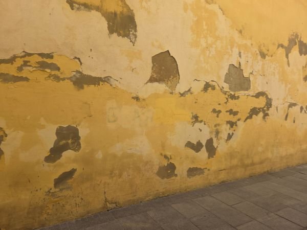 Reparar capilaridad (5)