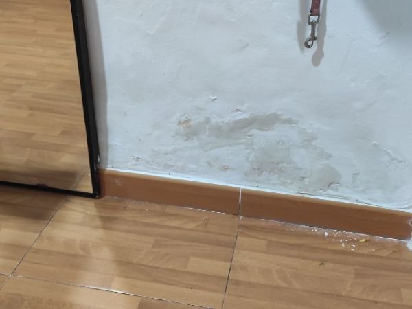 Reparar capilaridad (6)