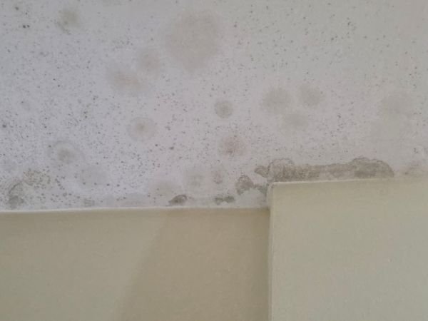 Reparar condensacion (10)