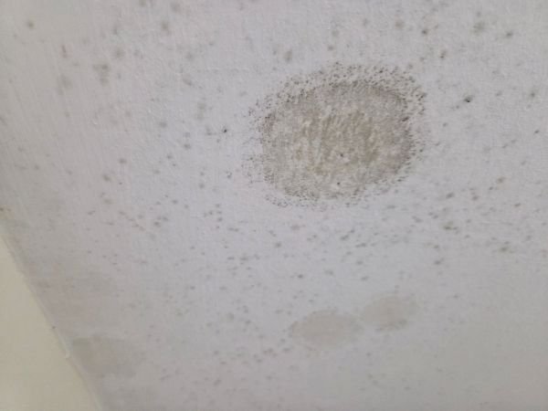 Reparar condensacion (12)