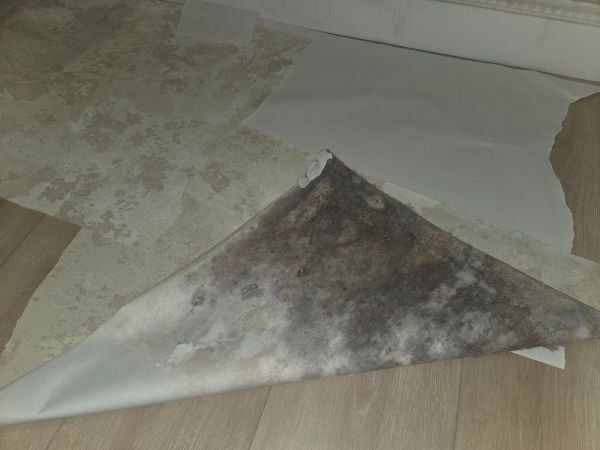 Reparar condensacion (13)