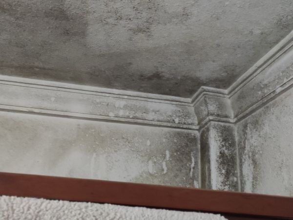 Reparar condensacion (6)