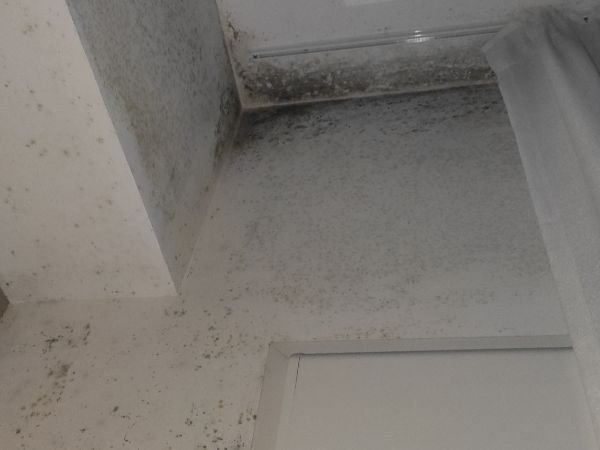 Reparar condensacion (7)