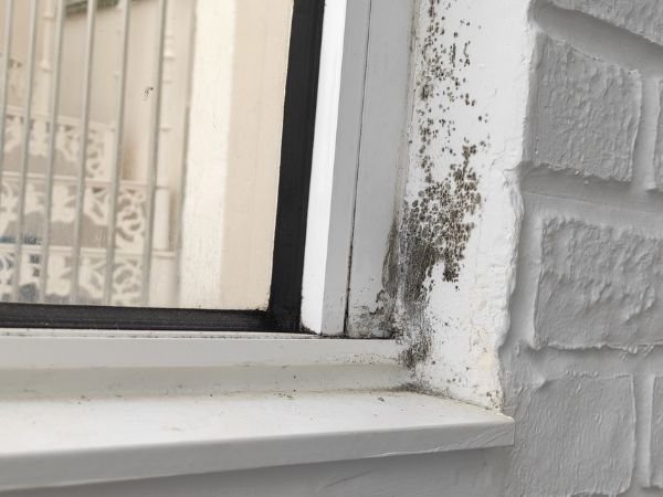 Reparar condensacion (8)