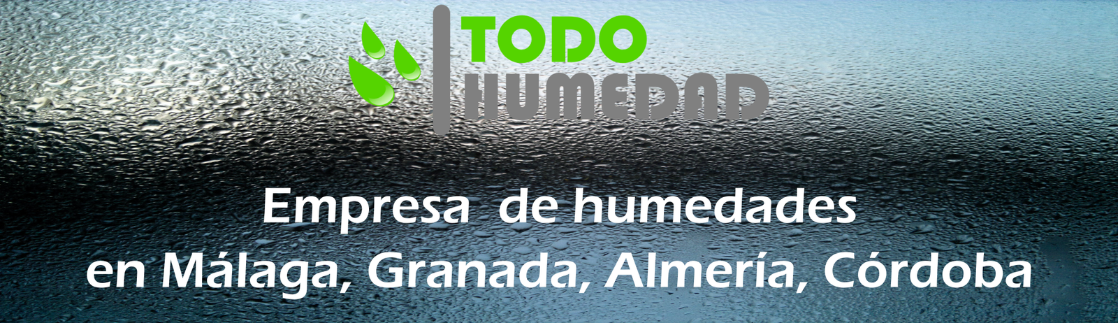 Todohumedad