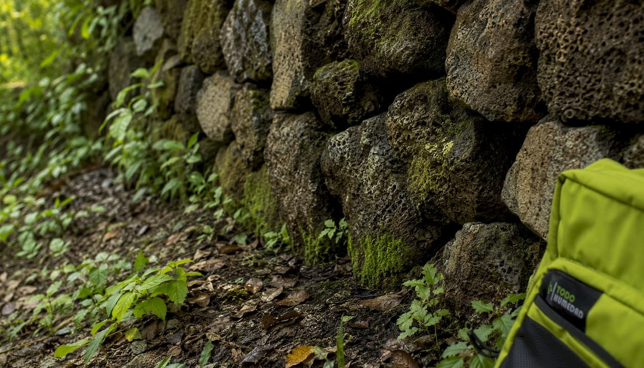 Pared de piedra levantada sobre una base exterior de tierra húmeda.