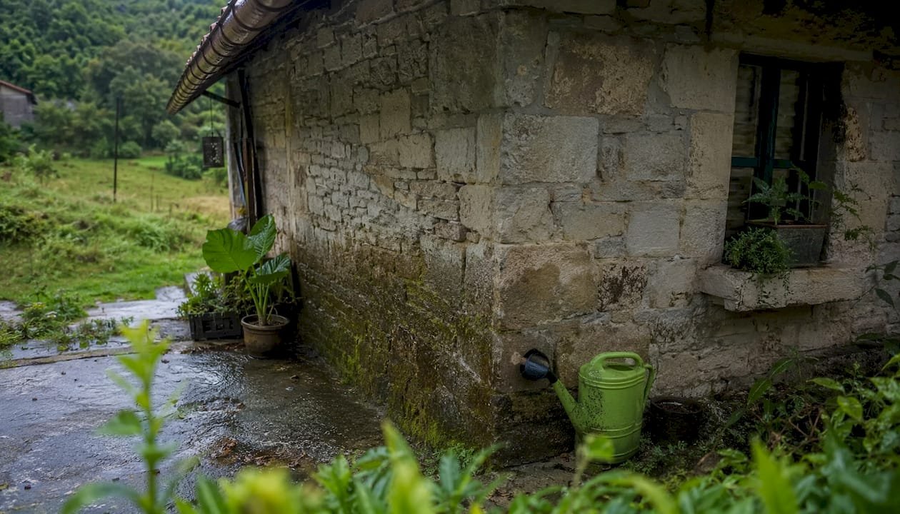 Fachada de una casa rural de piedra con manchas de humedad visibles