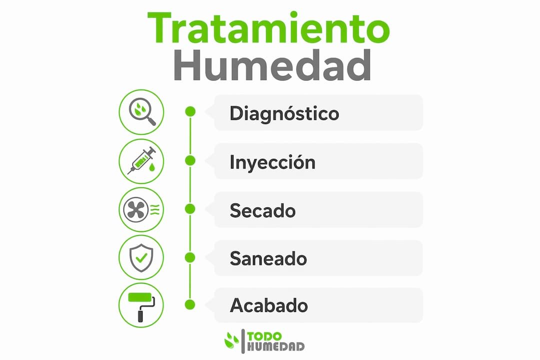 Guía visual con los pasos clave para eliminar la humedad de las paredes