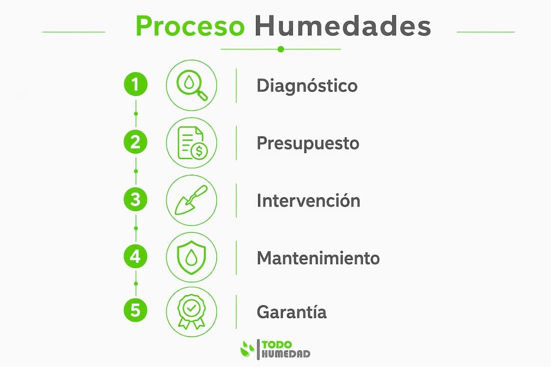 Guía visual para identificar y resolver problemas de humedad
