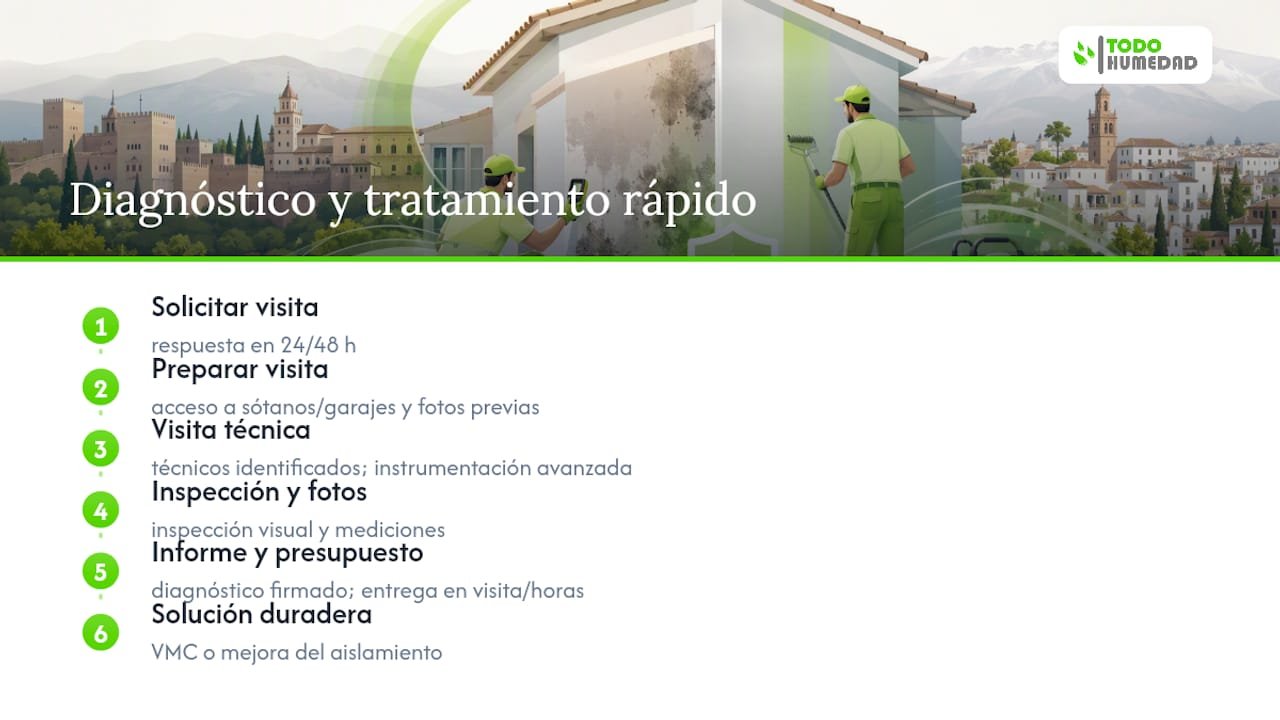 Todohumedad: diagnóstico y tratamiento en Granada con respuesta en 24/48 h — overview diagram