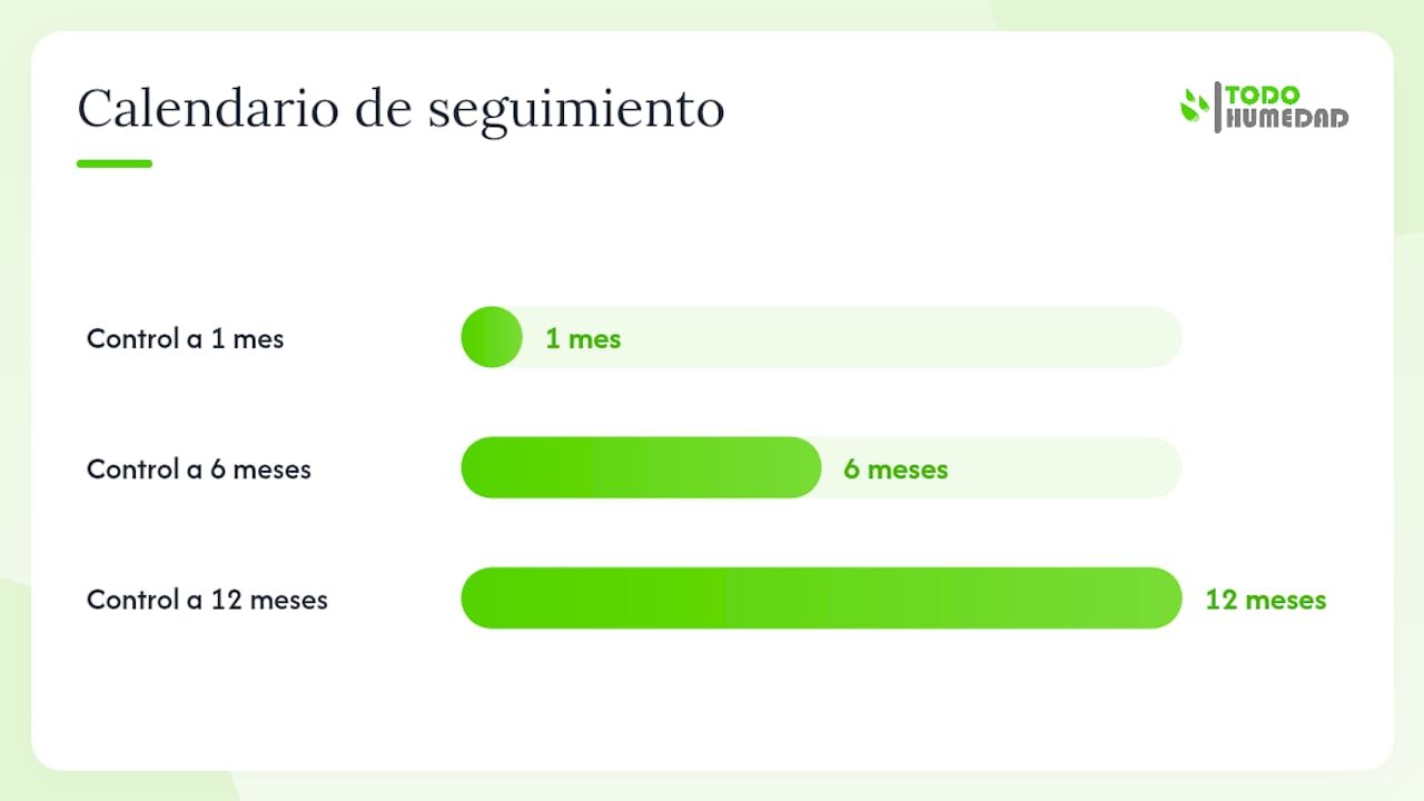 Proceso profesional: de la visita al resultado con garantía — overview diagram