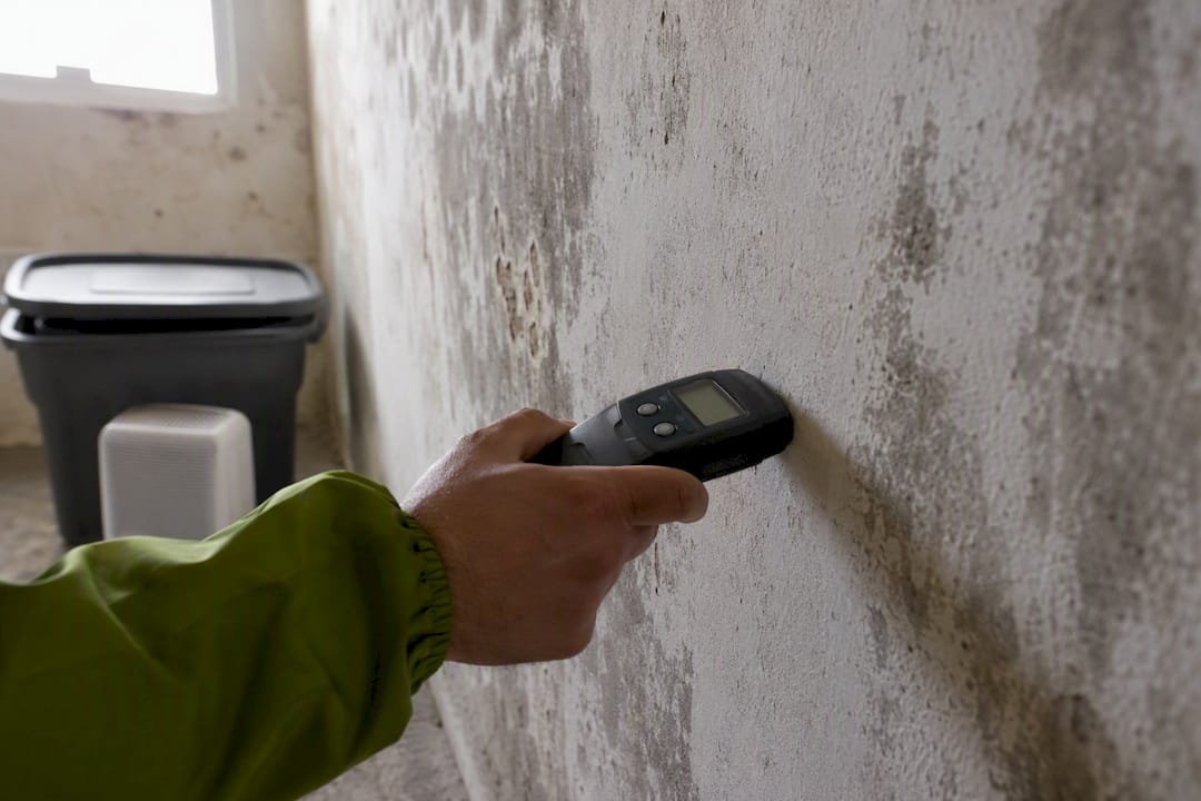 Medidor de humedad midiendo una pared húmeda en el cuarto de almacenamiento