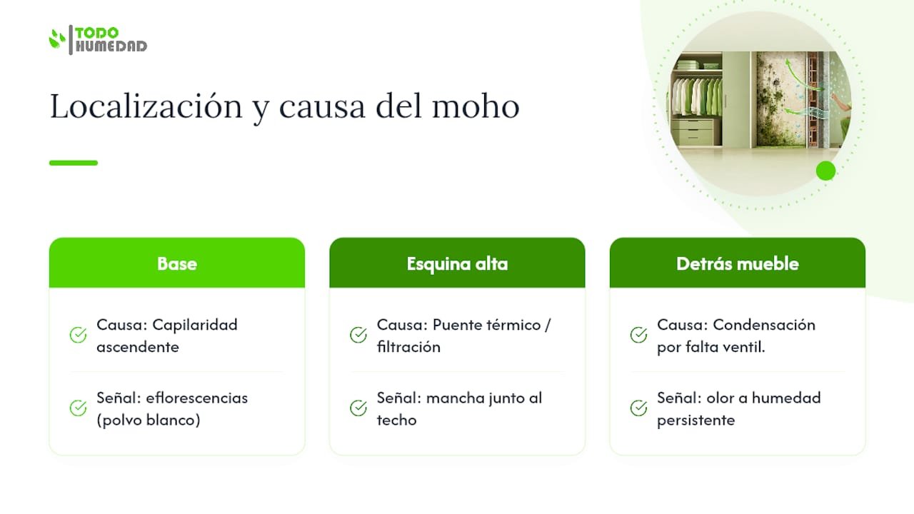 Diagrama de tipos de moho y causas de humedad en armarios
