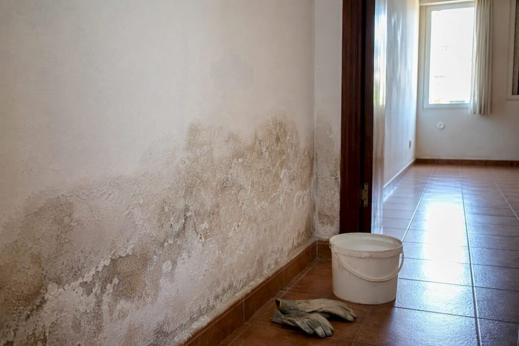 Pared interior con manchas de salitre y humedad