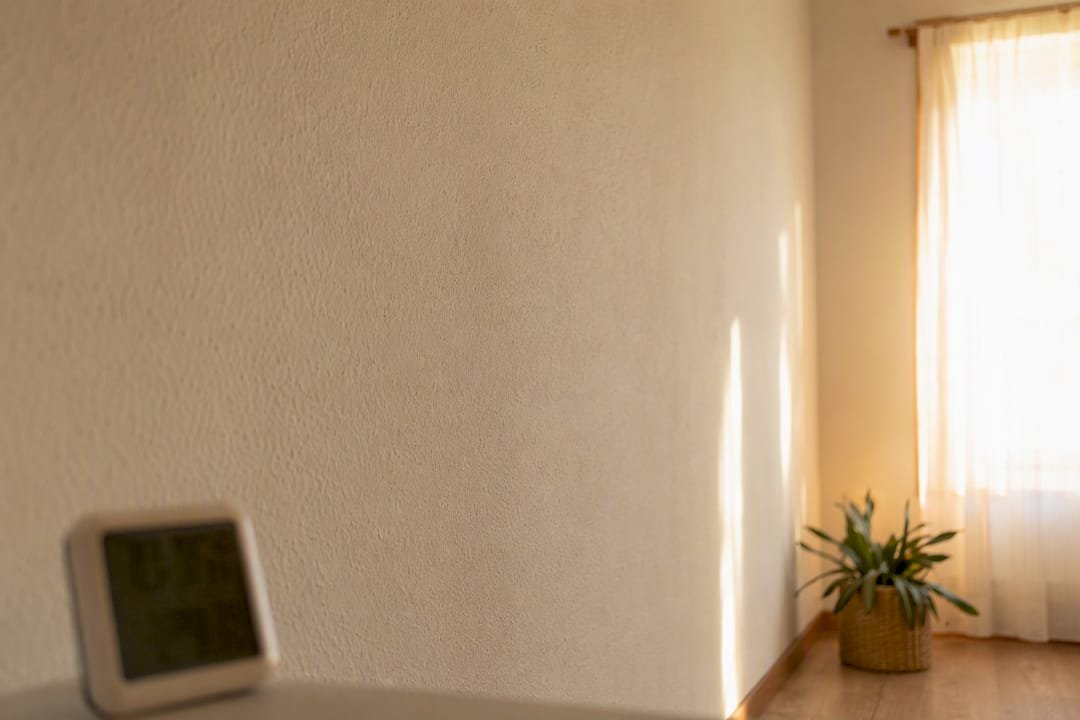 Pared interior limpia, sin humedad ni moho visible