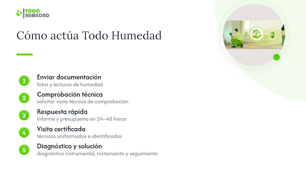 Cómo ayuda Todo Humedad a resolver la condensación con garantías — overview diagram