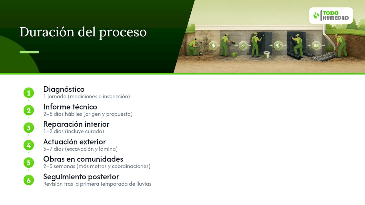 Duración de las etapas de reparación