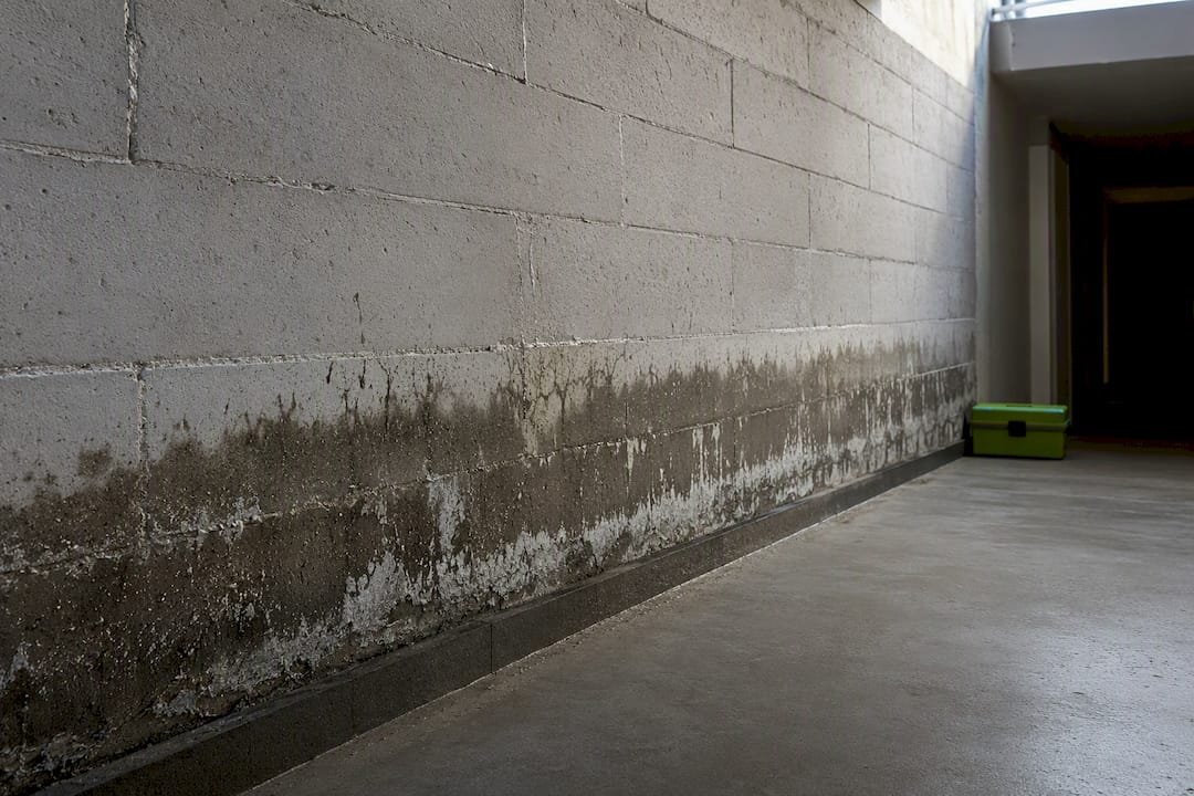 Muro de contención interior con problemas de humedad