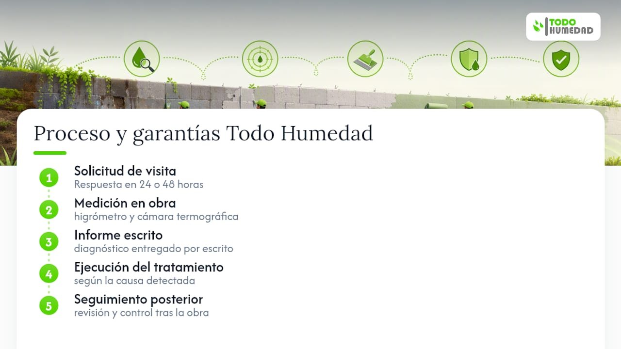 Proceso profesional para el diagnóstico de humedad