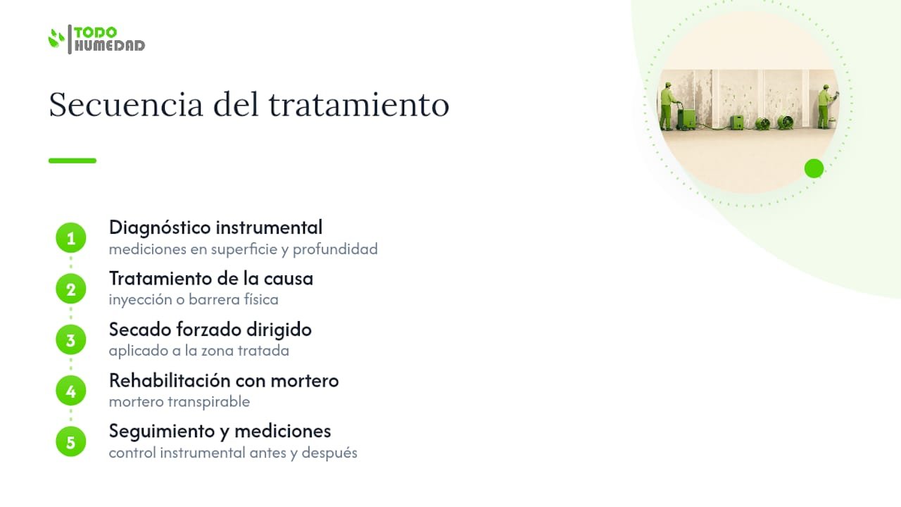 Cinco fases del tratamiento profesional de paredes