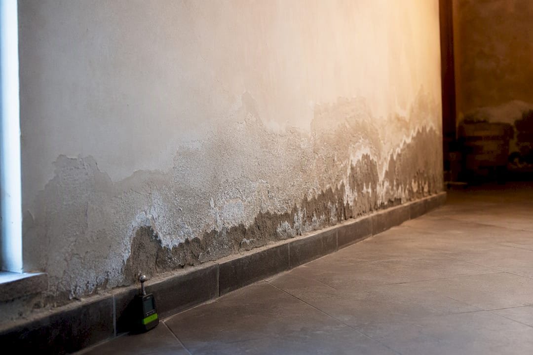 Muro estructural con humedad que sube por capilaridad