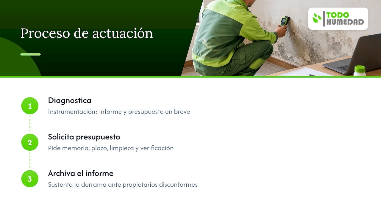 Cómo trabajamos el diagnóstico, el tratamiento y la garantía — overview diagram
