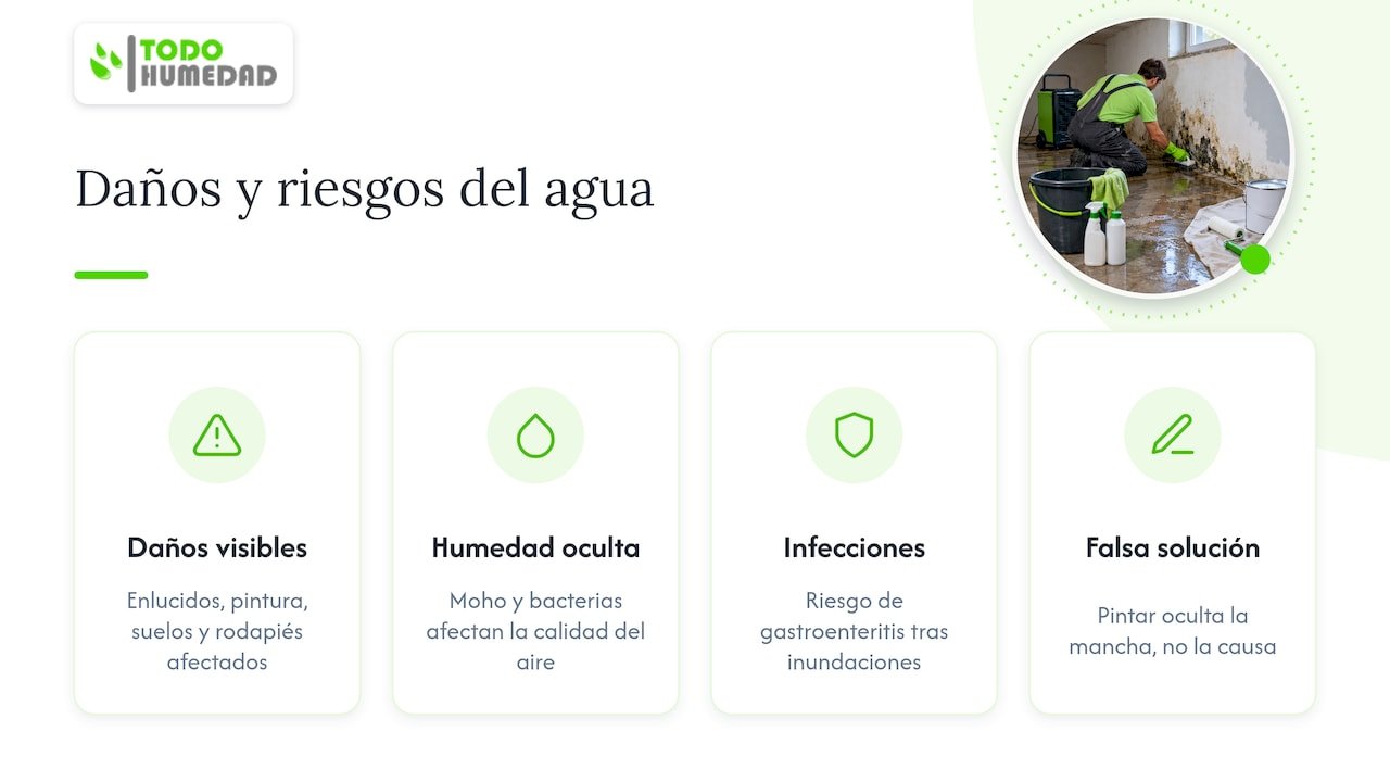 ¿Qué daños y riesgos para la salud provoca el agua en el sótano? — overview diagram
